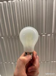 Ampoule LED E27 3,8W non dimmable